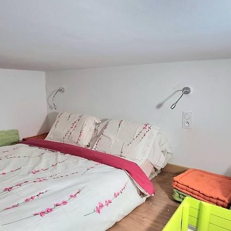 Apartamento T2 Louise - Jardin Des Plantes - Metro - Tramway Toulouse Exterior foto