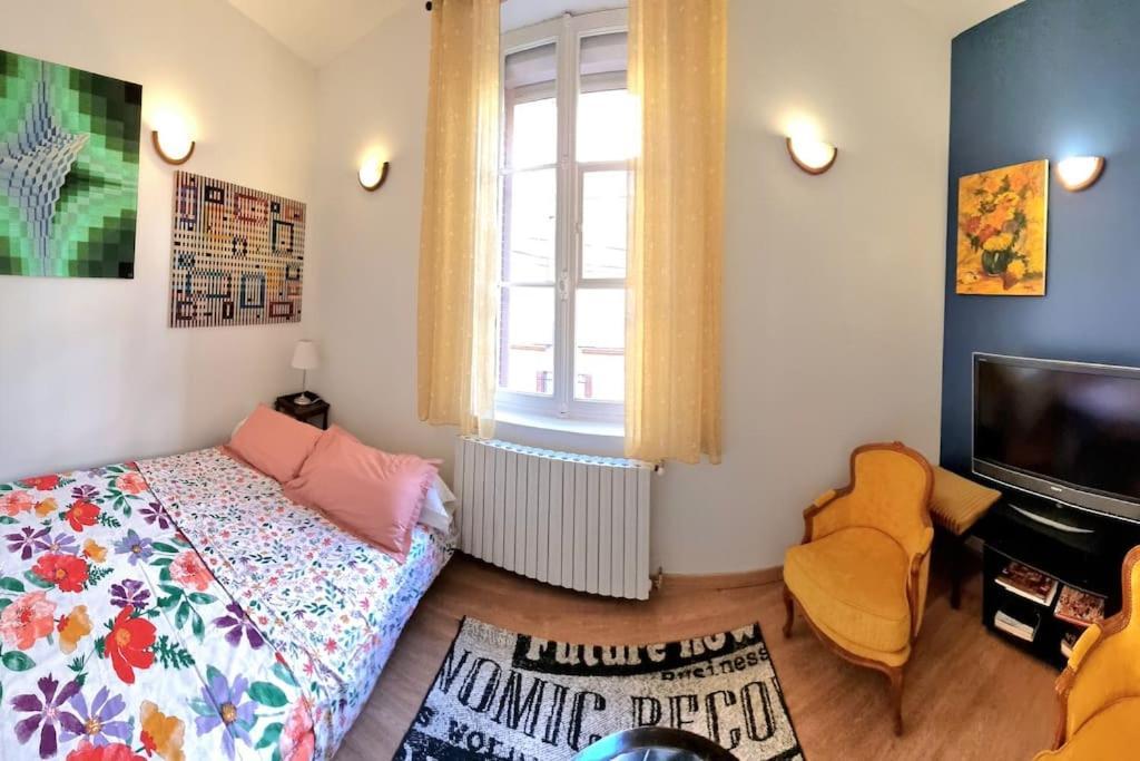 Apartamento T2 Louise - Jardin Des Plantes - Metro - Tramway Toulouse Exterior foto